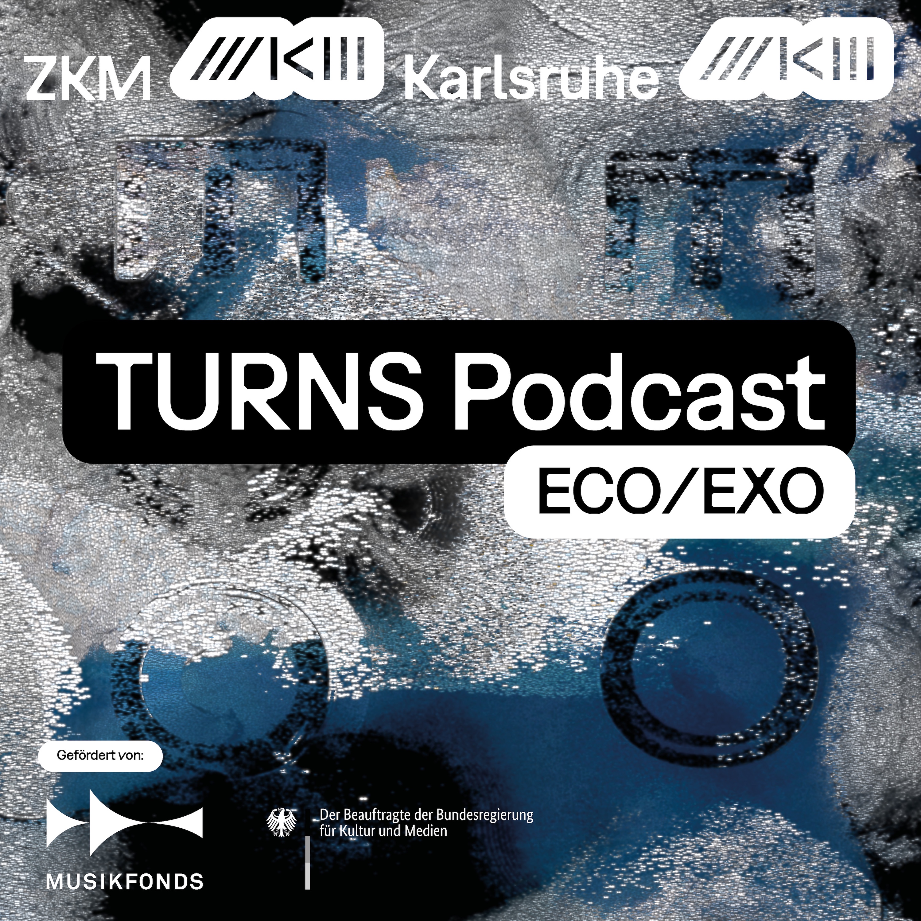 TURNS Podcast ECO/EXO podcast artwork